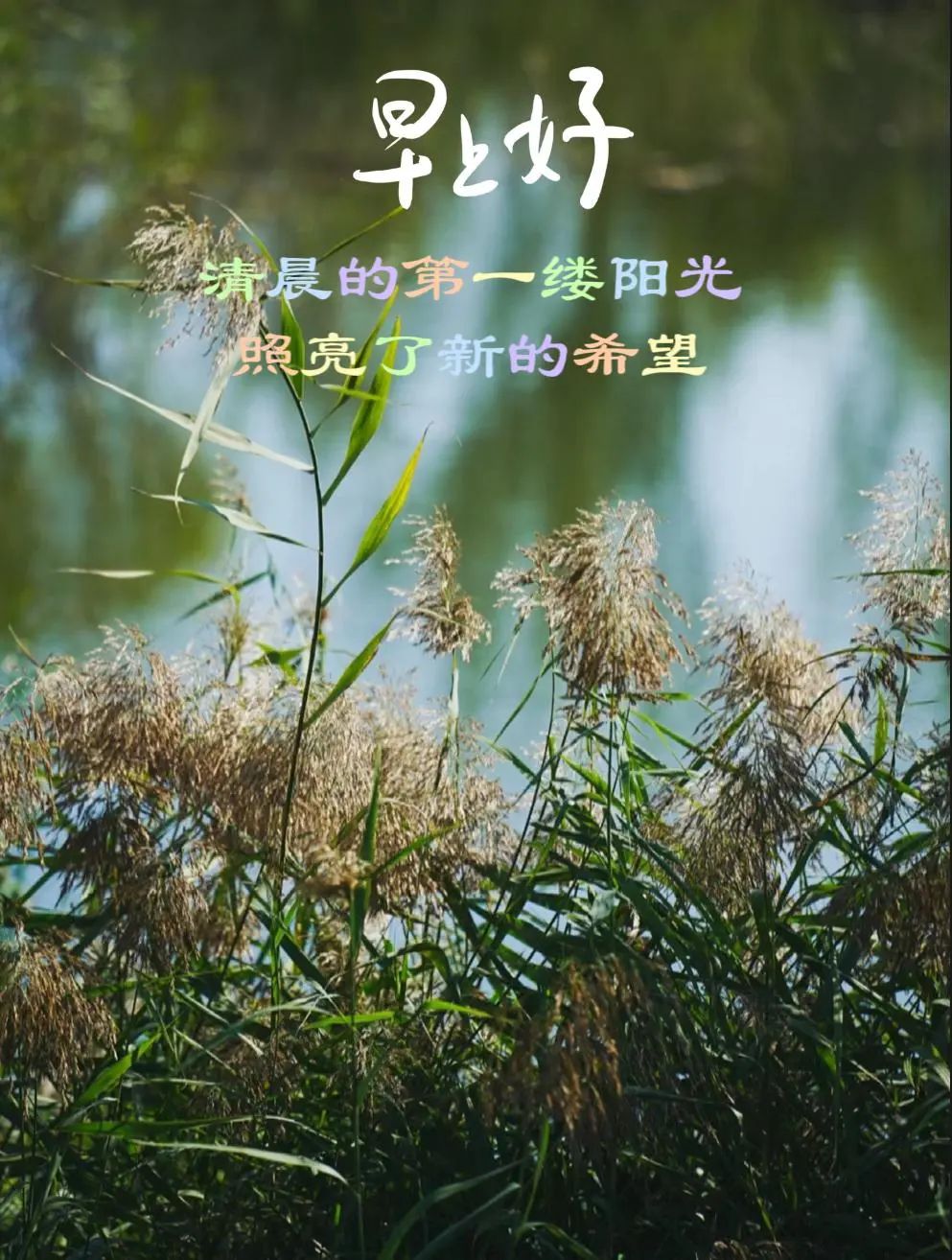 早安,早上好,上午好
