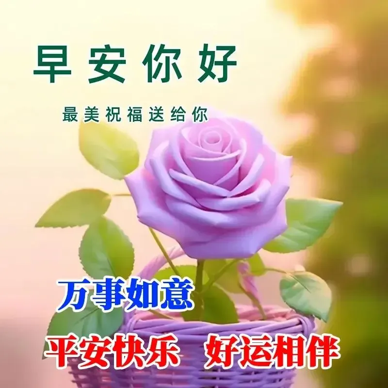 早安,早上好,上午好