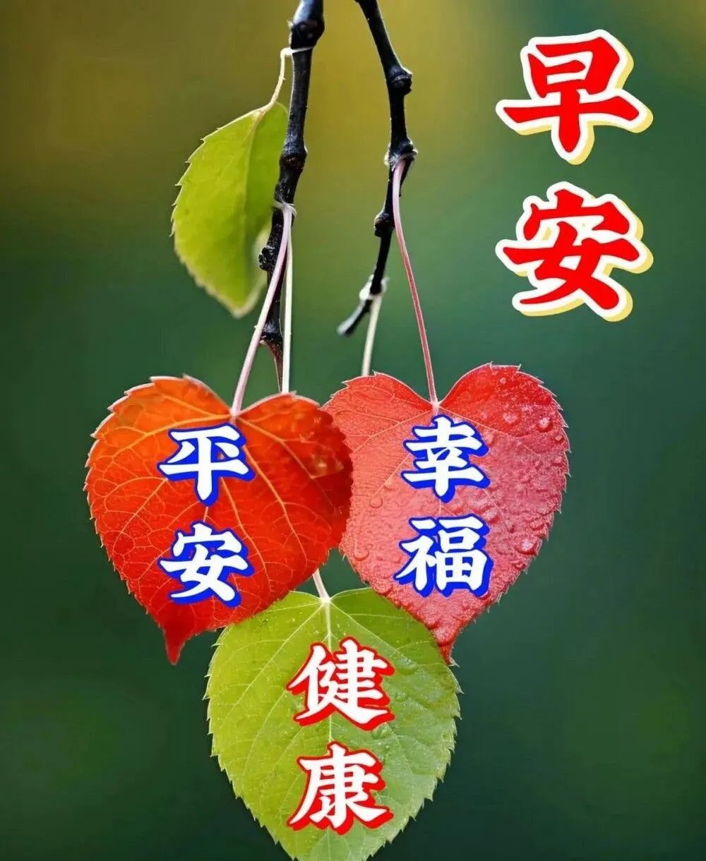 早安,早上好,上午好