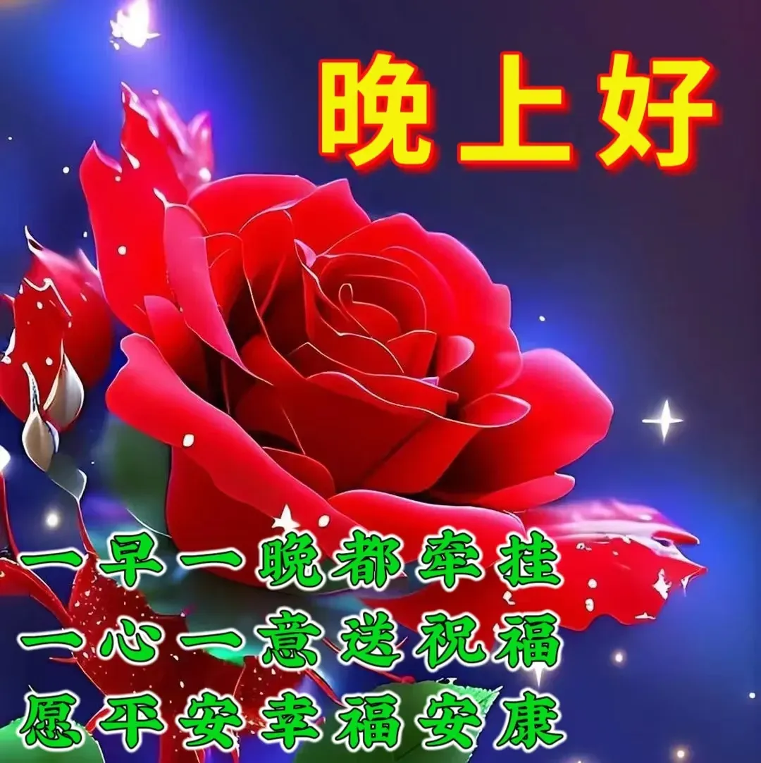 晚上好,晚安