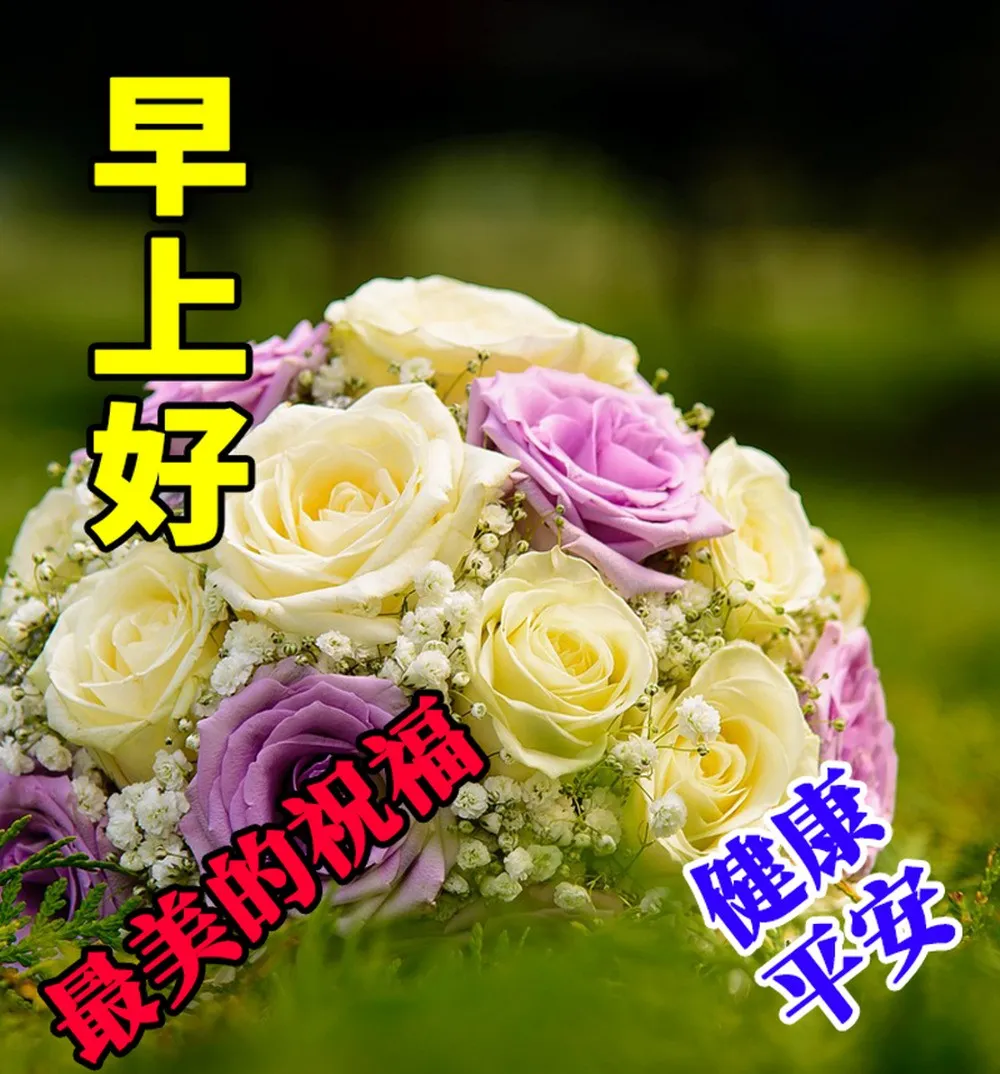早安,早上好,上午好