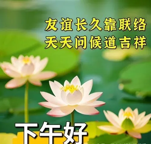 下午好