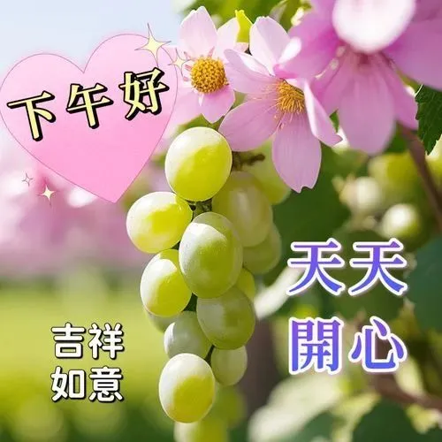 下午好