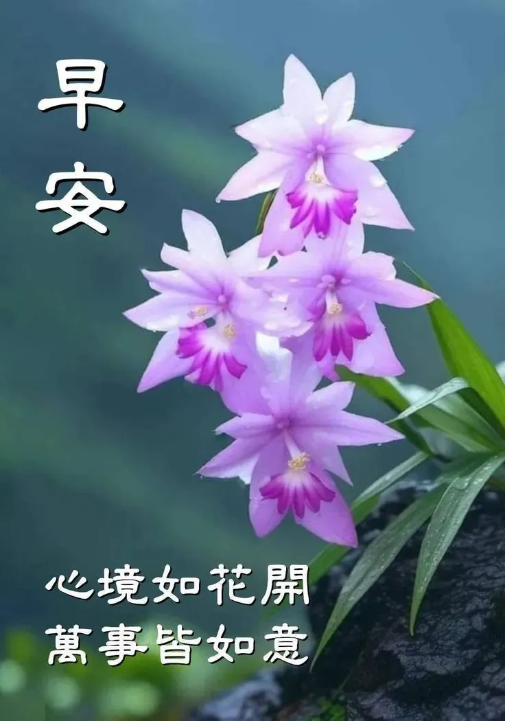 早安,早上好,上午好