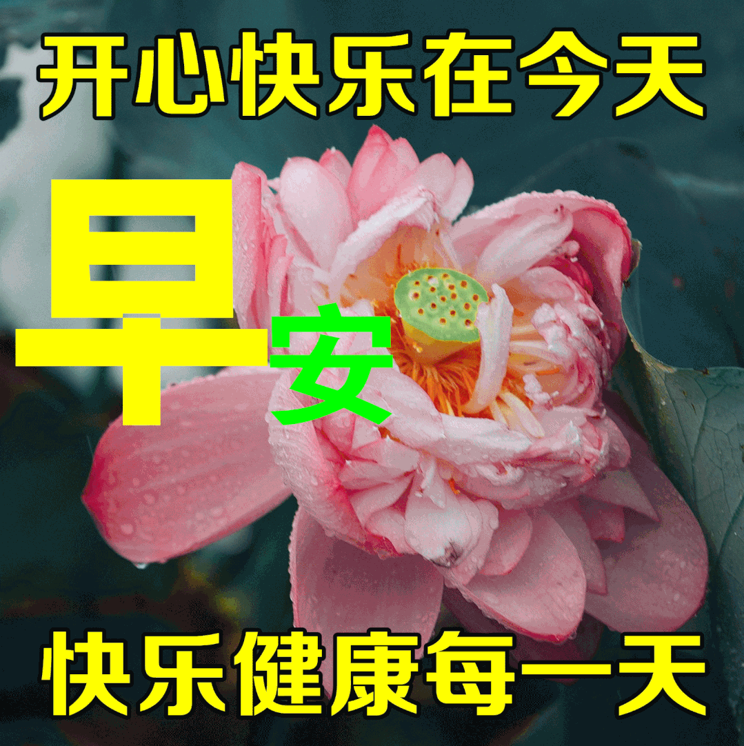早安,早上好,上午好