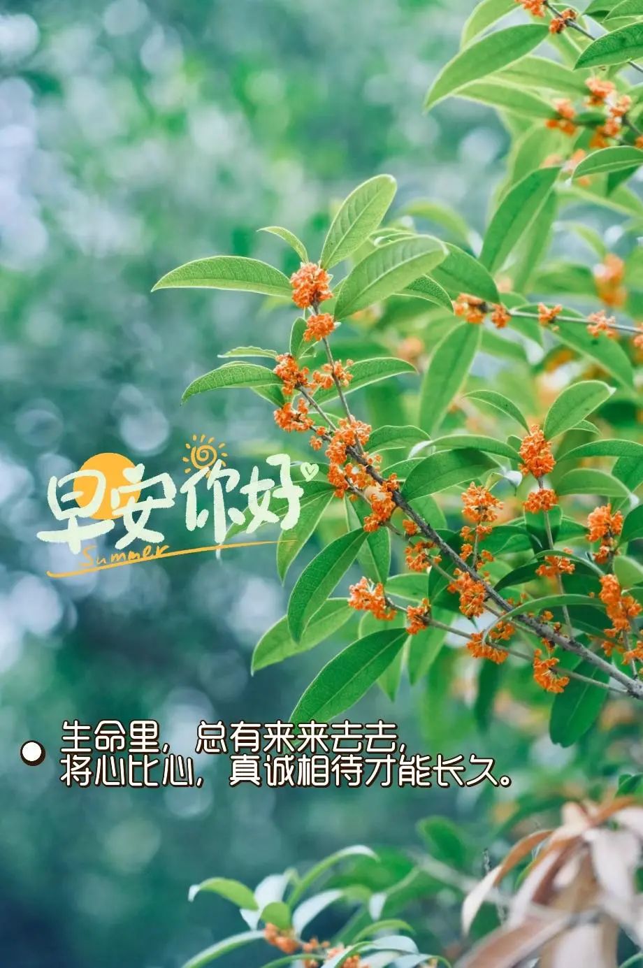 早安,早上好,上午好