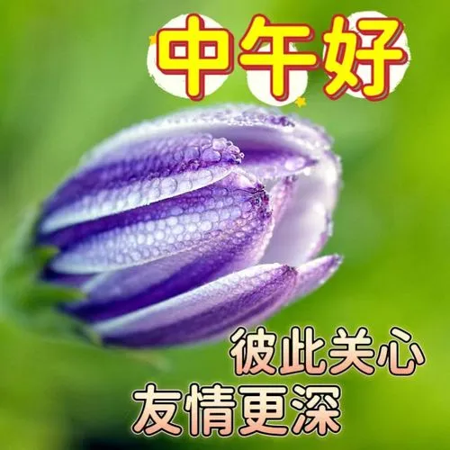 中午好,午安