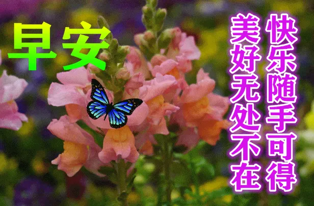 早安,早上好,上午好