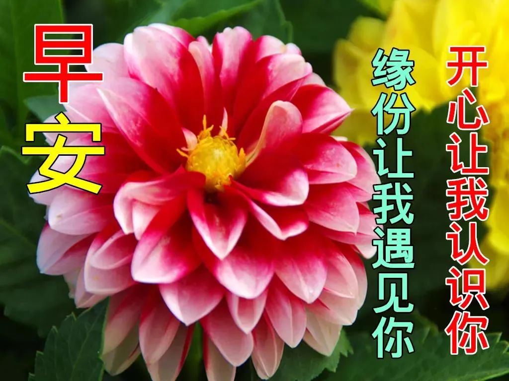 早安,早上好,上午好