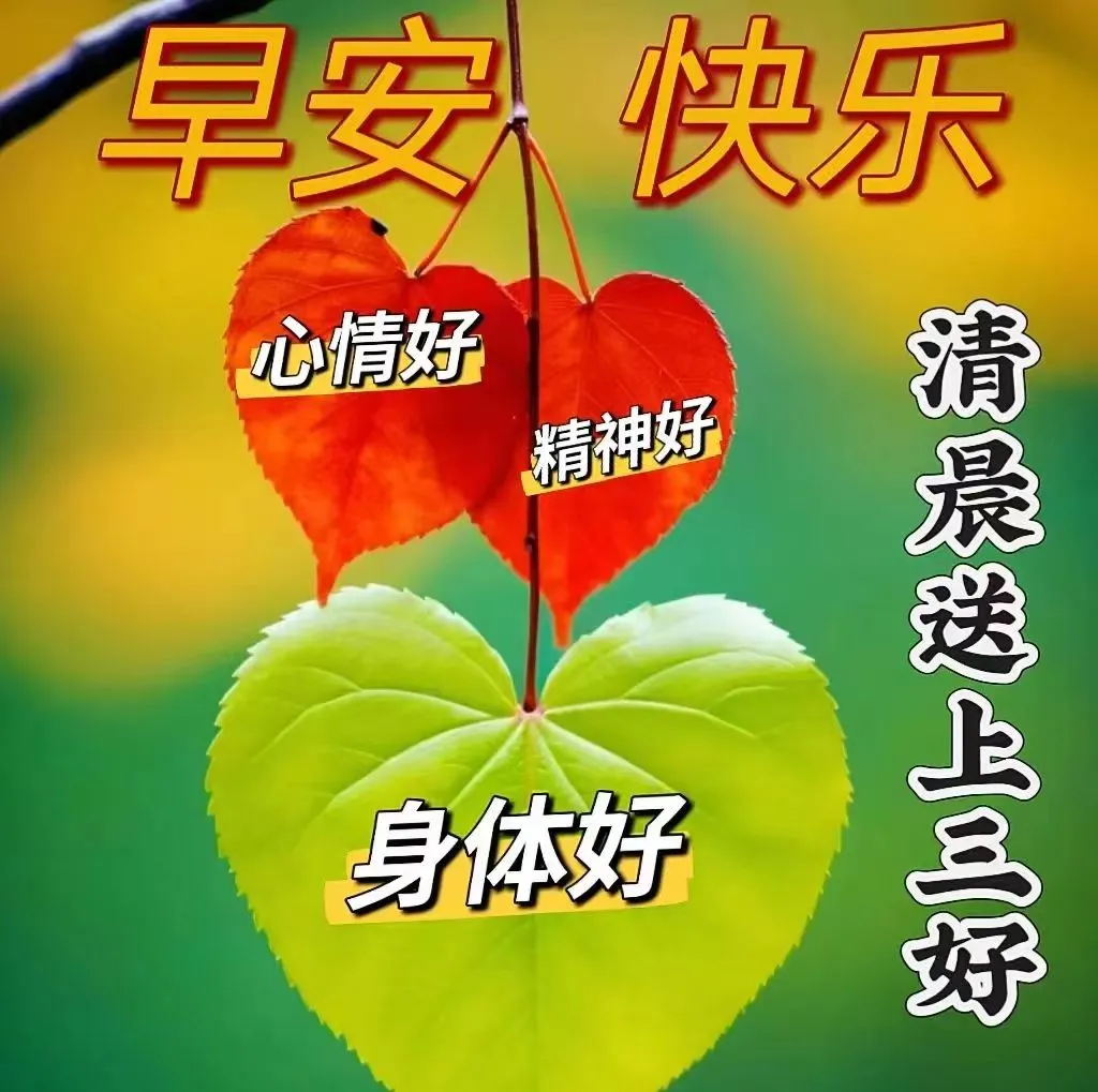 早安,早上好,上午好