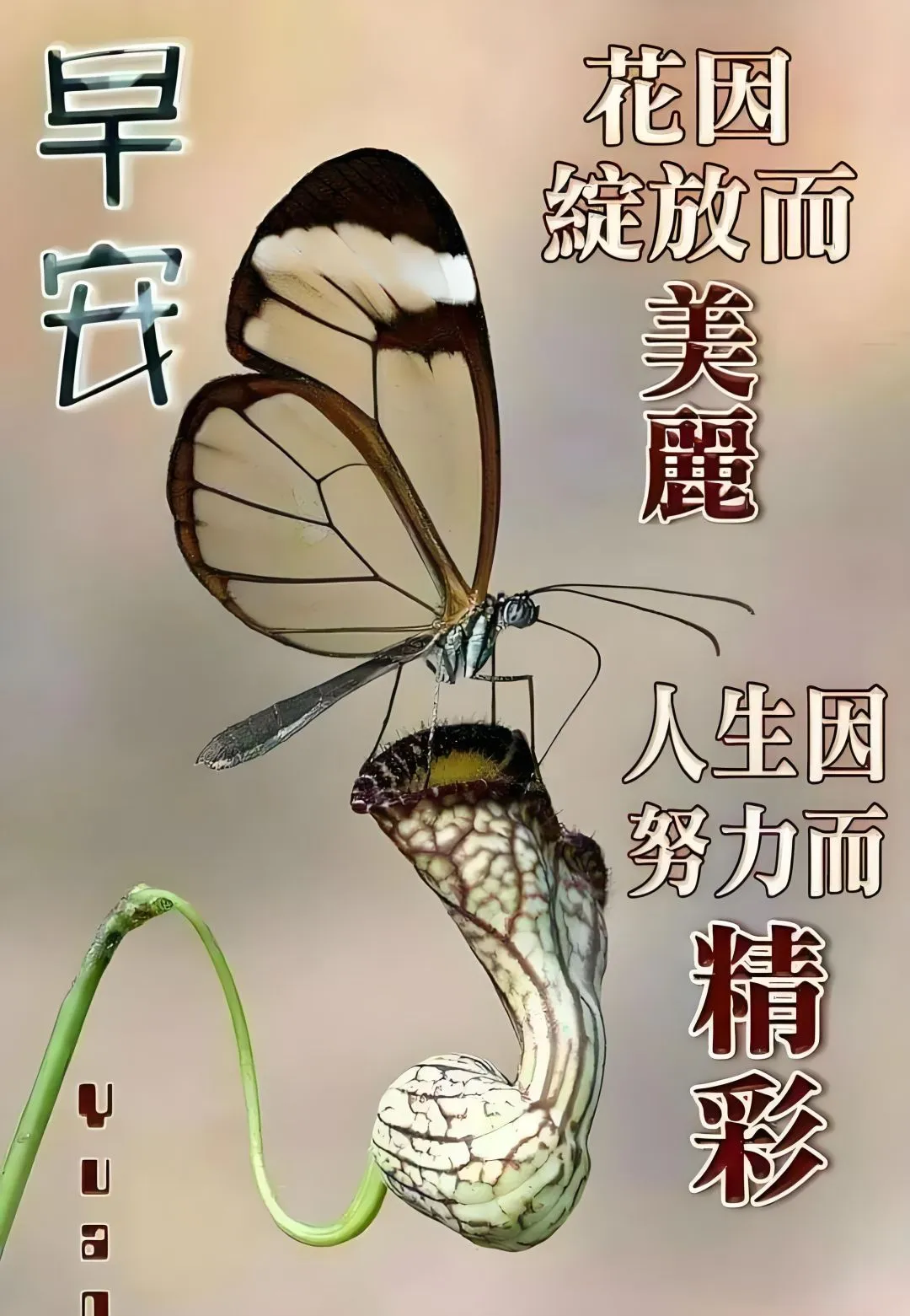 早安,早上好,上午好