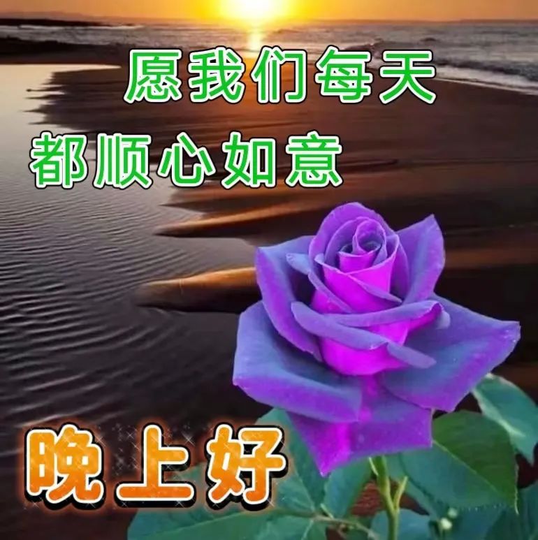 晚上好,晚安