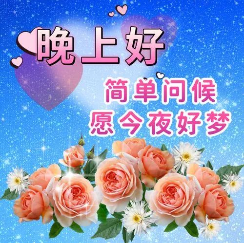晚上好,晚安