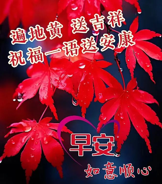 早安,早上好