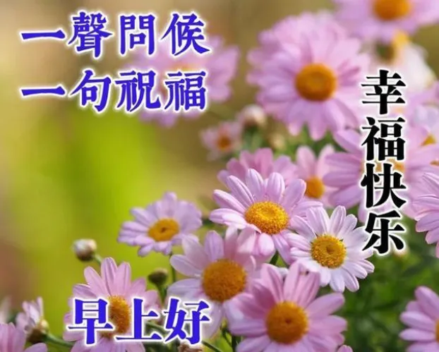 15张早上好问候：愿你不负朝夕不负己，体悟生命甜蜜