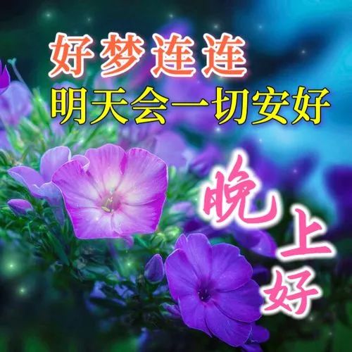 晚上好,晚安