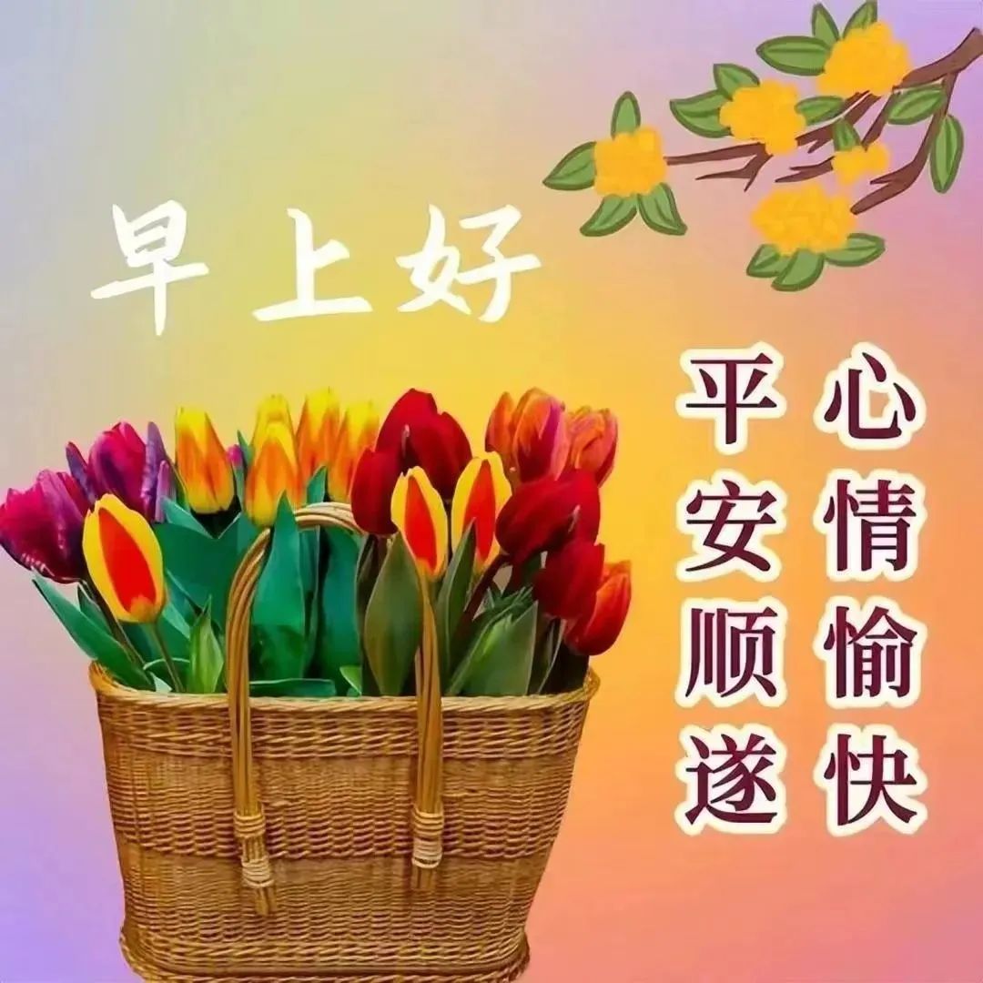 早安,早上好,上午好