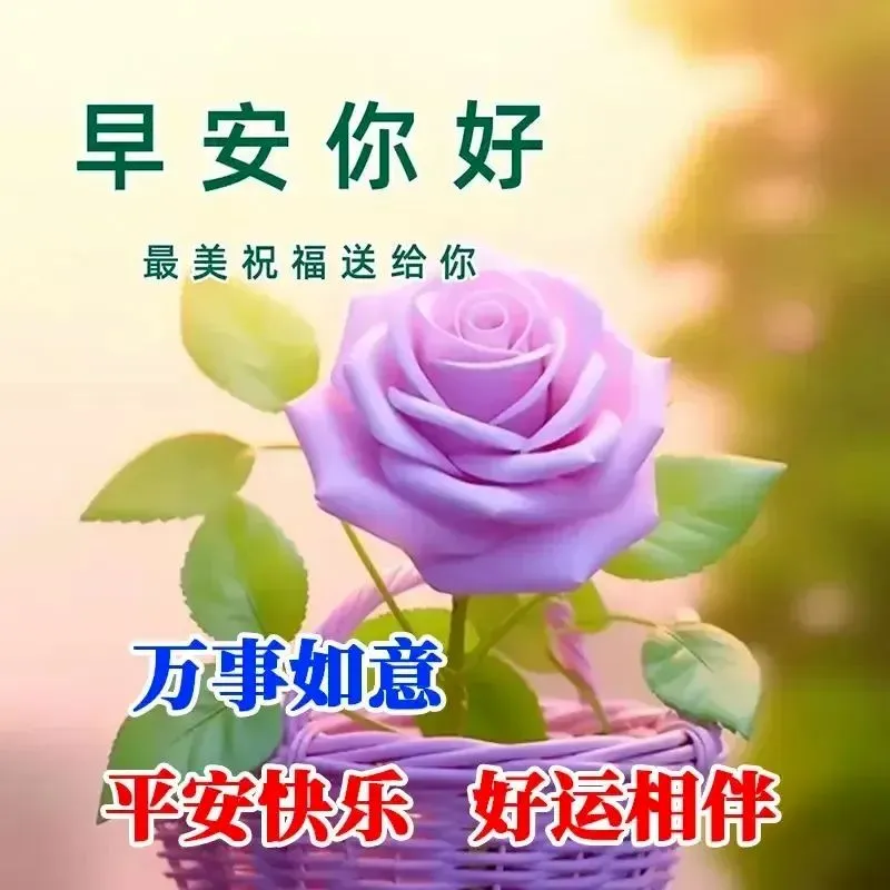 早安,早上好,上午好