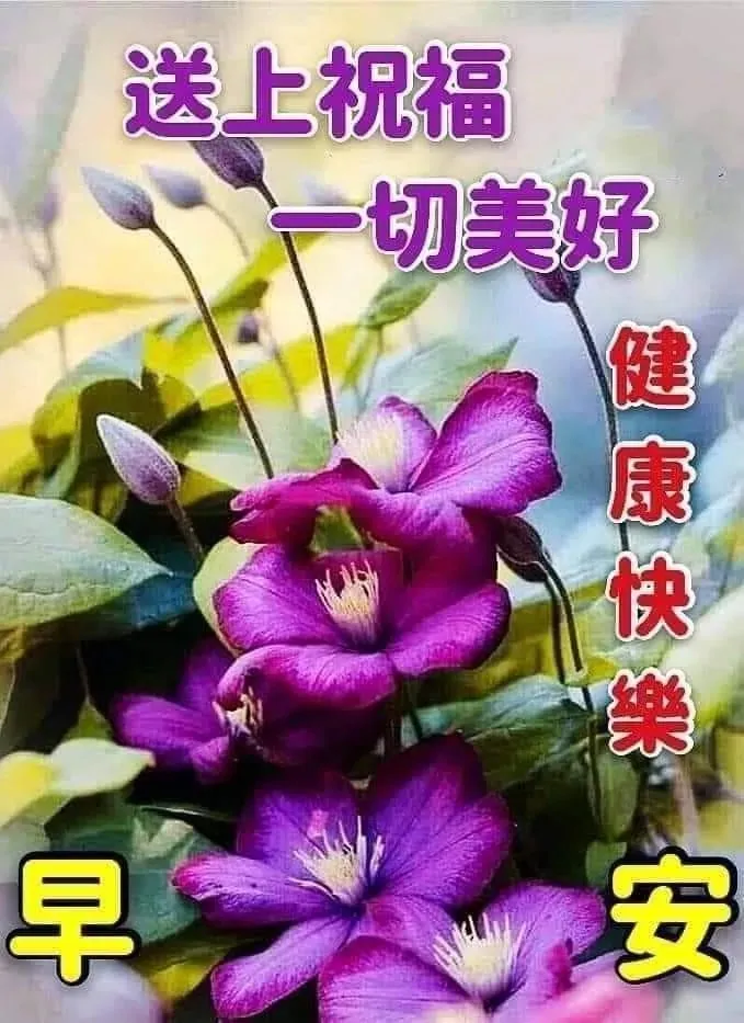 早安,早上好,上午好