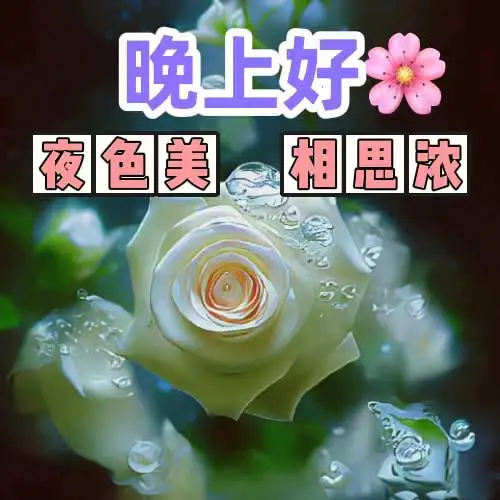 晚上好,晚安