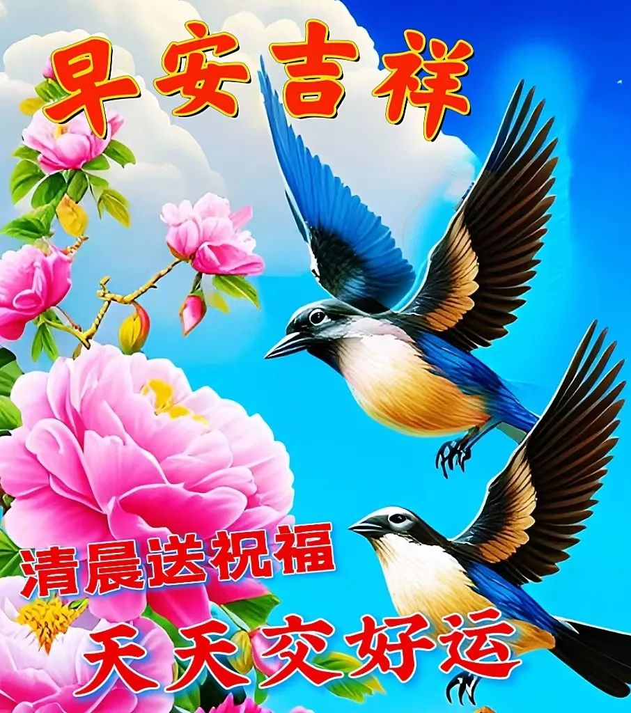 早安,早上好,上午好