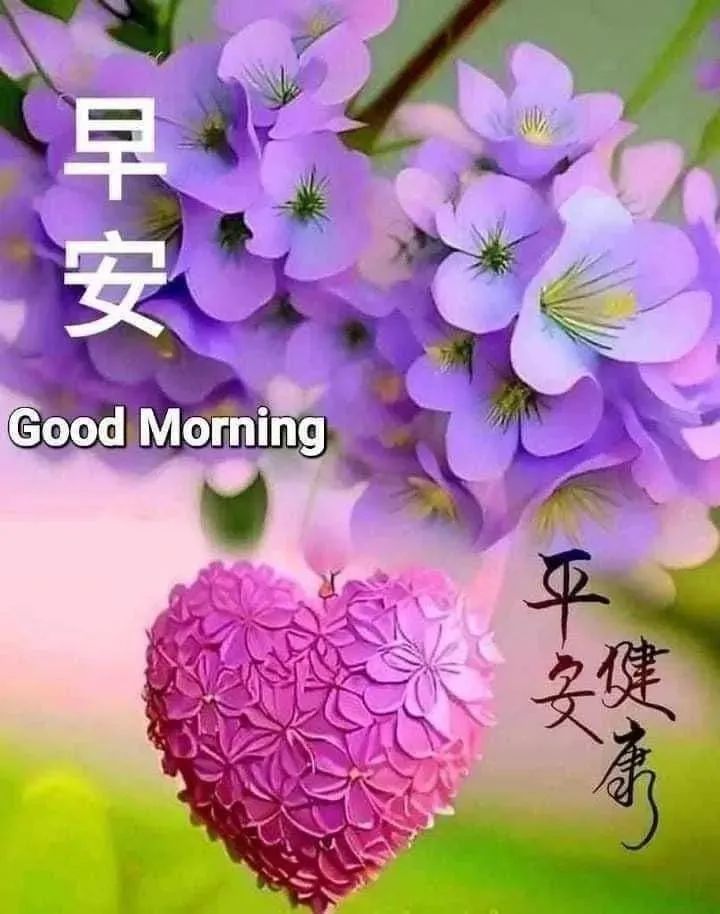 早安,早上好,上午好