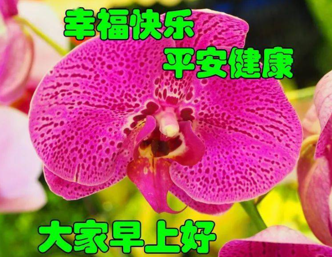 早安,早上好,上午好