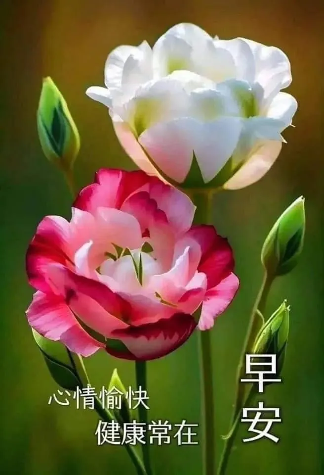 早安,早上好,上午好