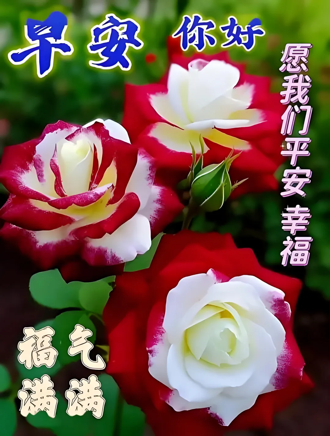 早安,早上好,上午好