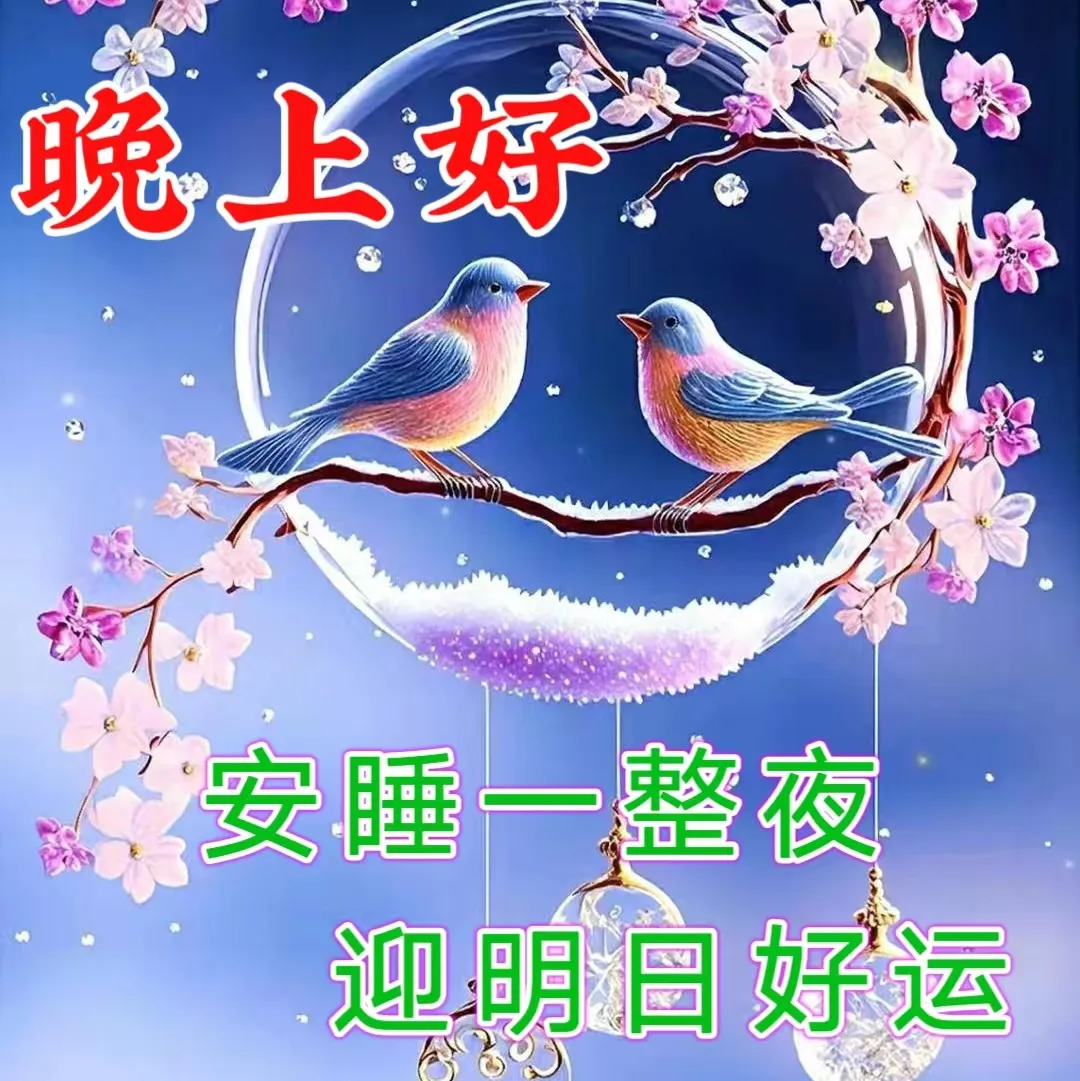 晚上好,晚安