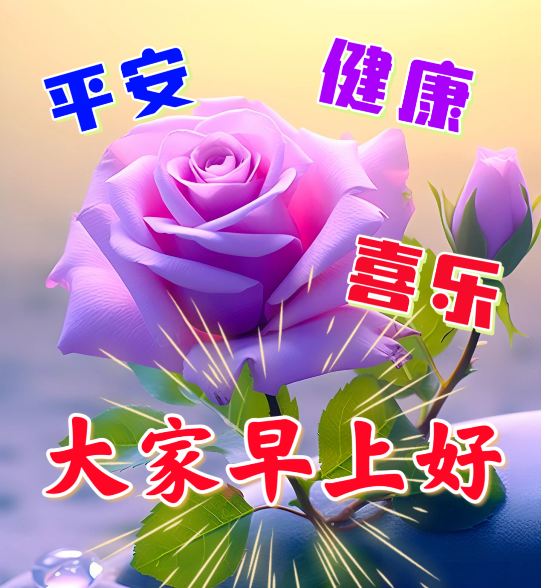 早安,早上好,上午好