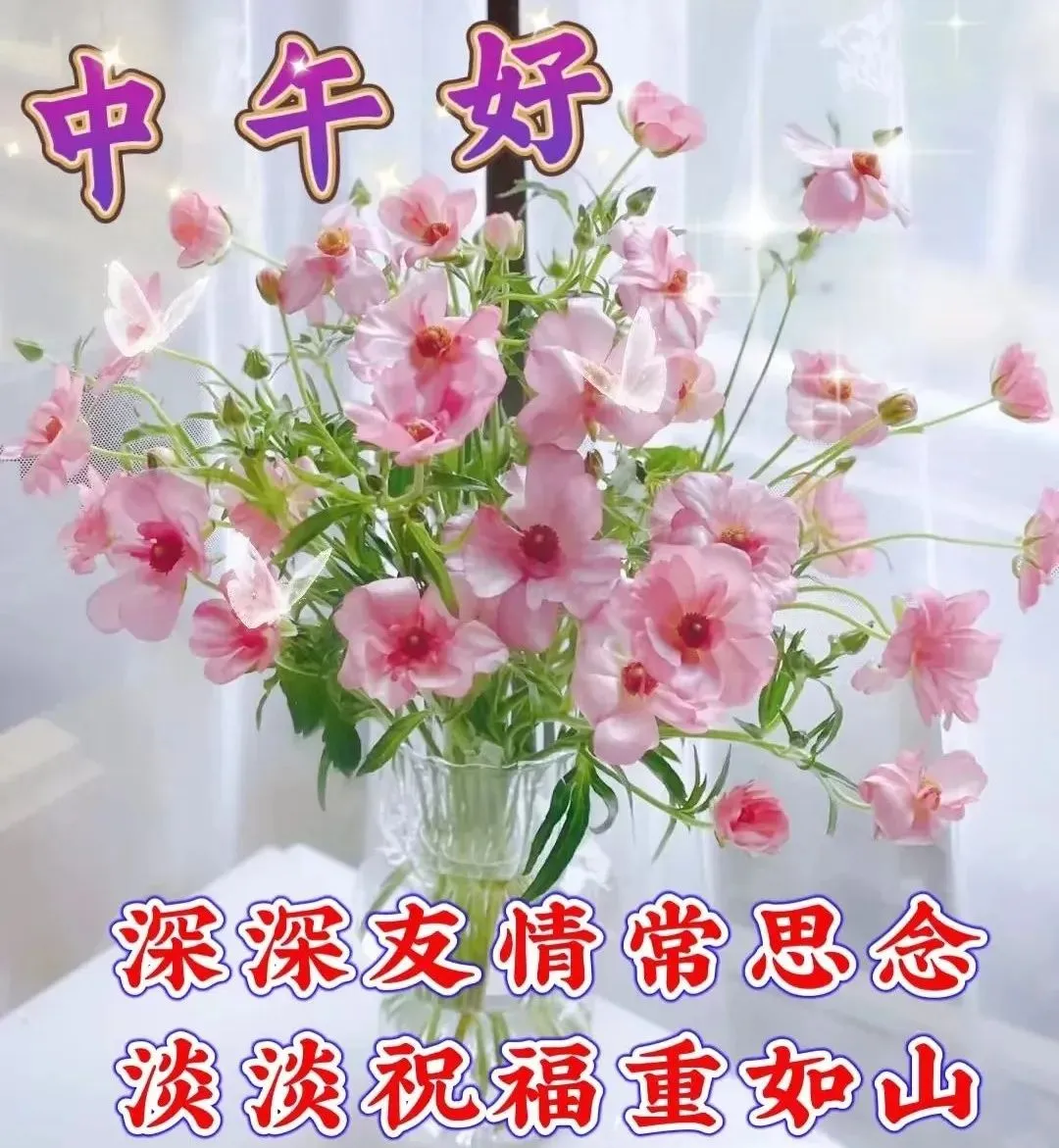 中午好,午安