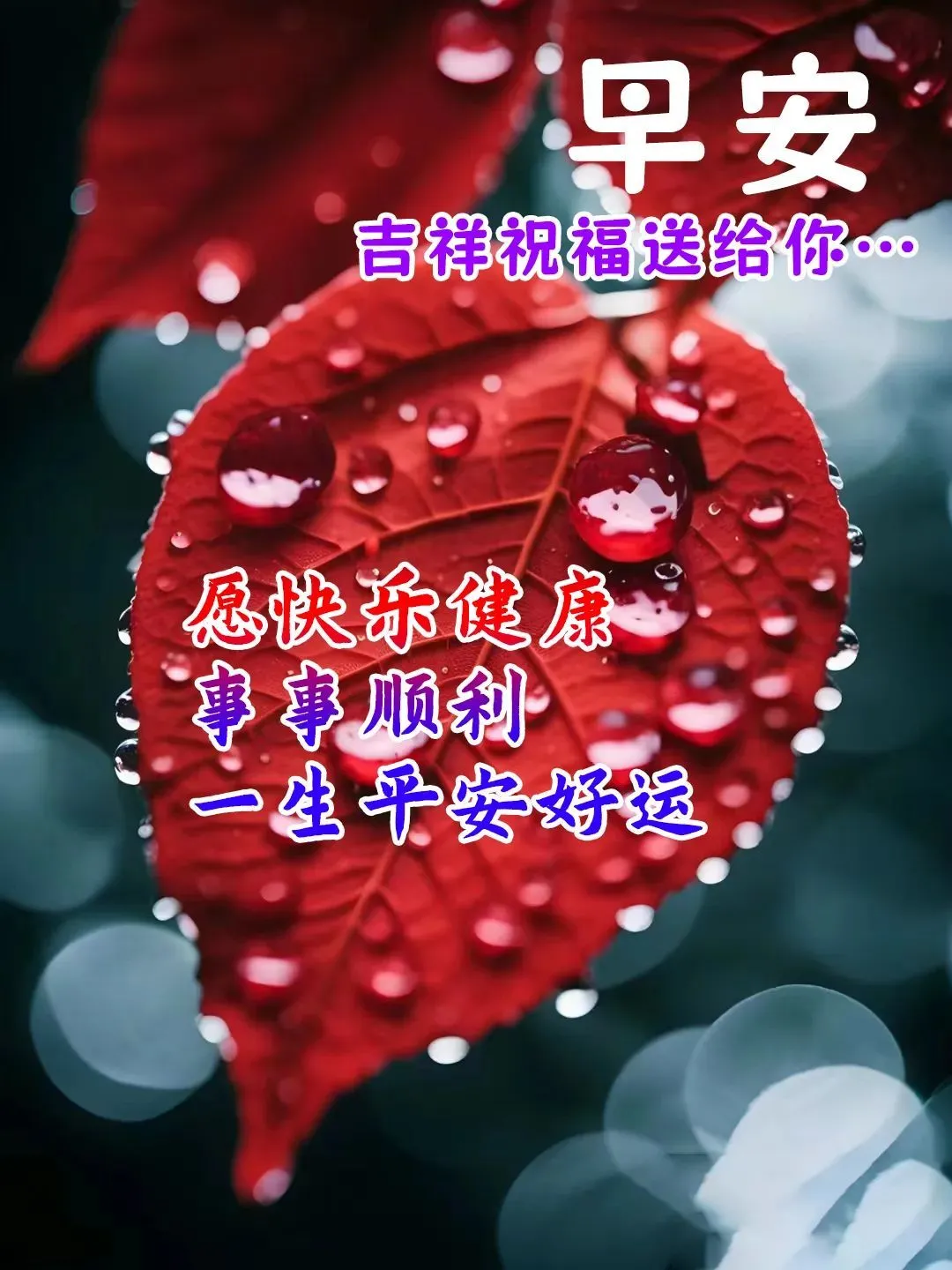 早安,早上好,上午好