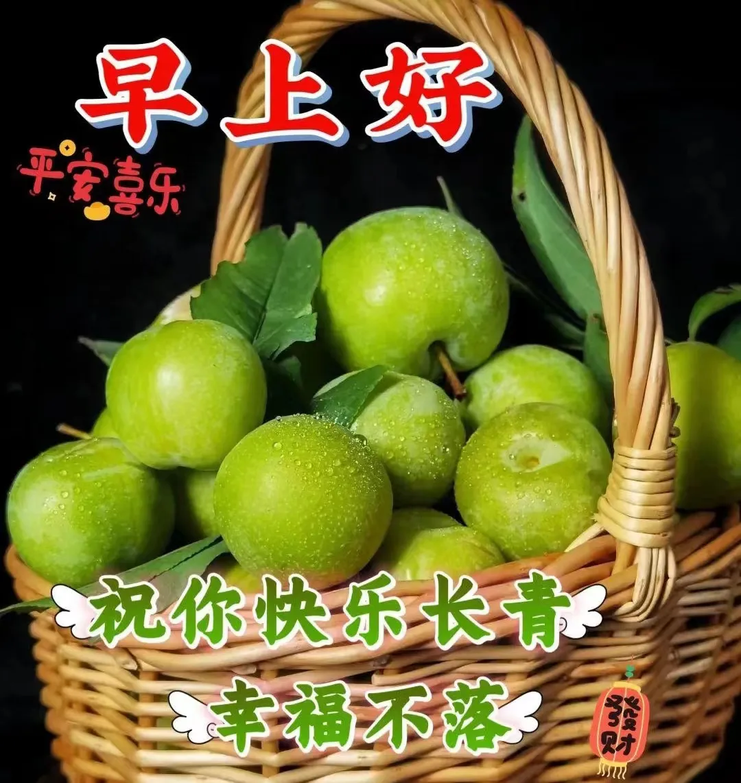 早安,早上好,上午好