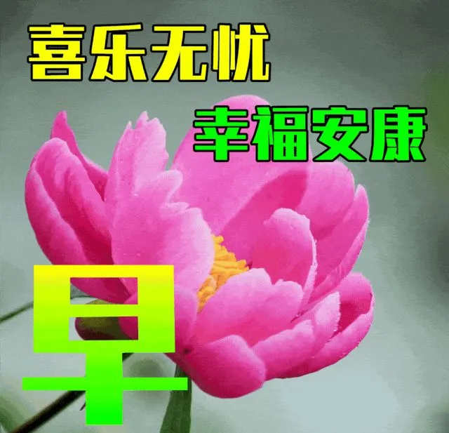 早安,早上好,上午好