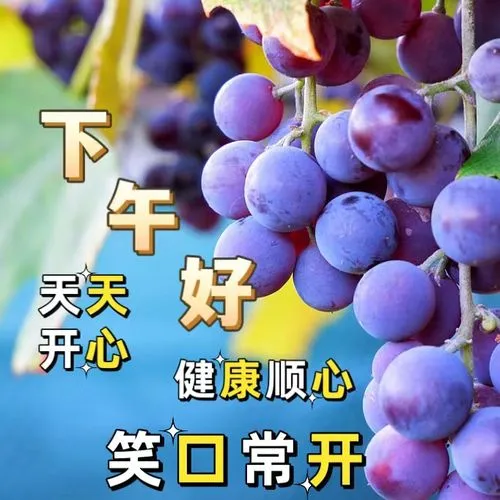 下午好