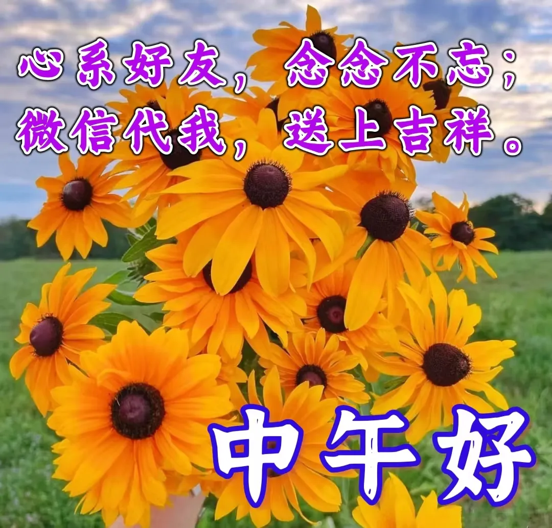 中午好,午安
