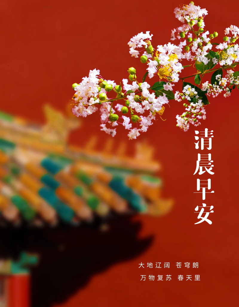 早安,早上好,上午好