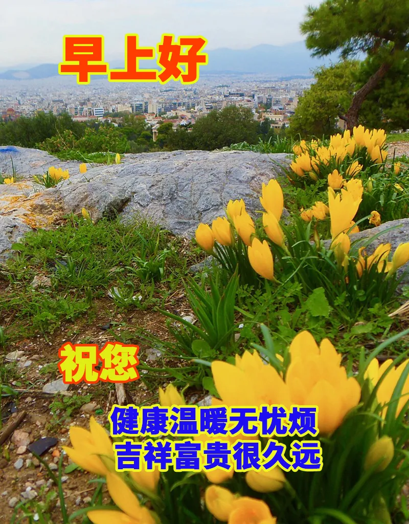 早安,早上好,上午好