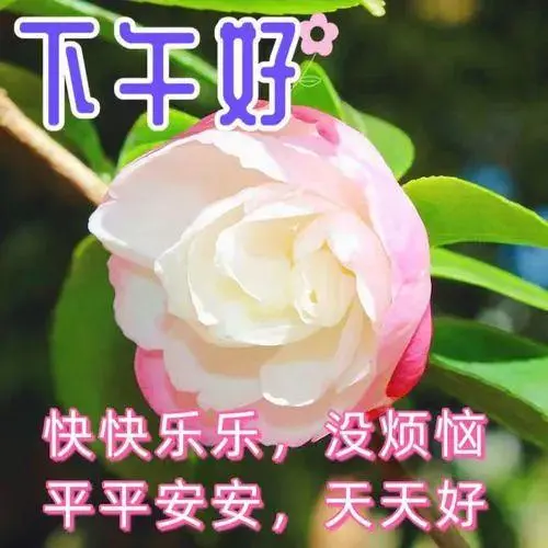 下午好