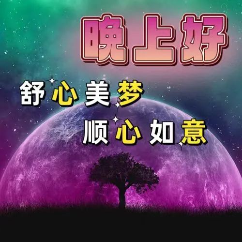 晚上好,晚安