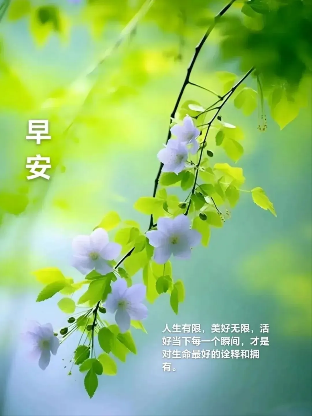 早安,早上好,上午好