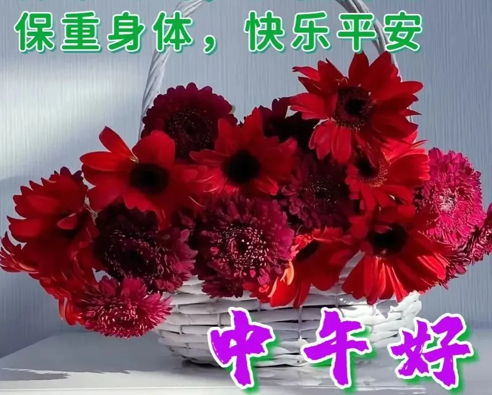 中午好,午安