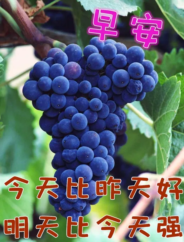 早安,早上好,上午好