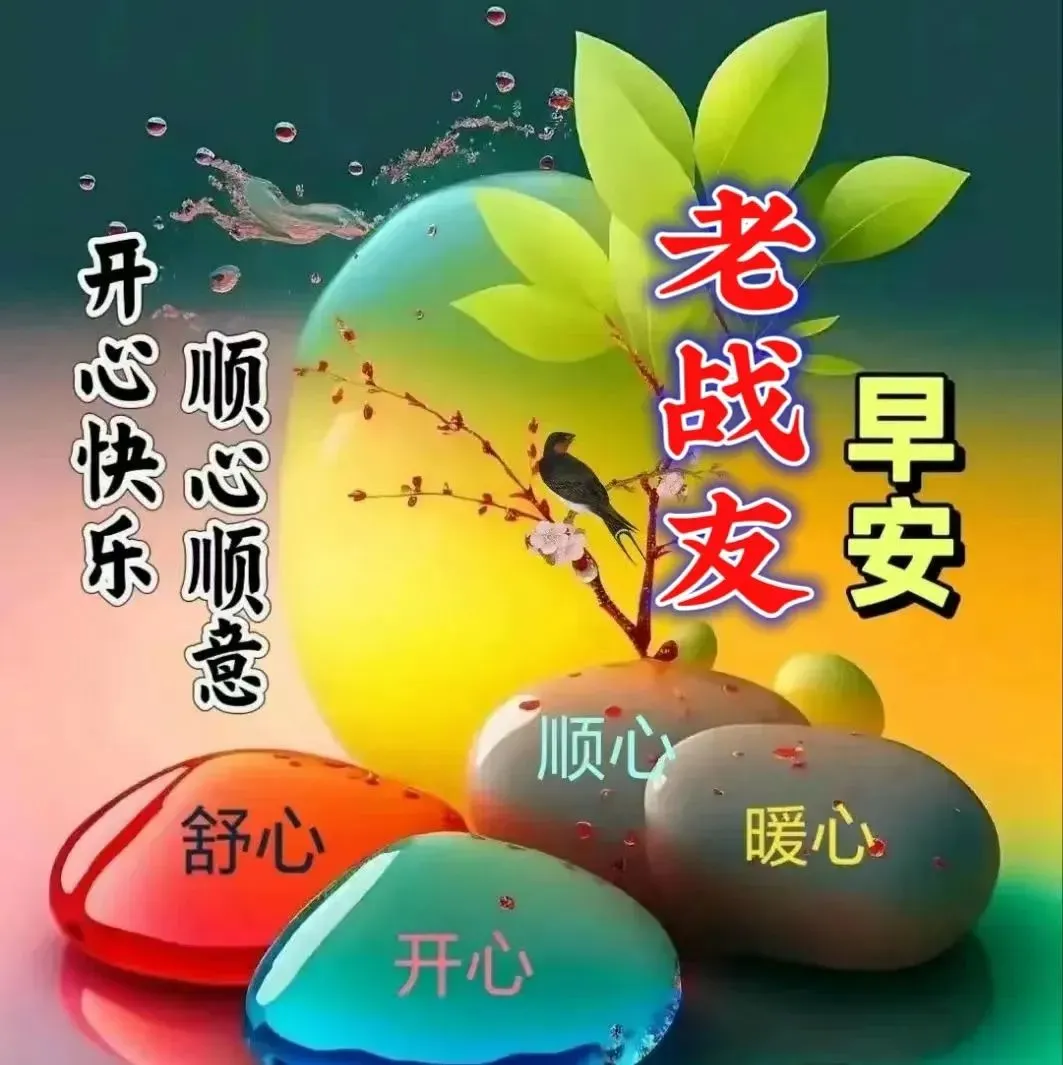 早安,早上好,上午好