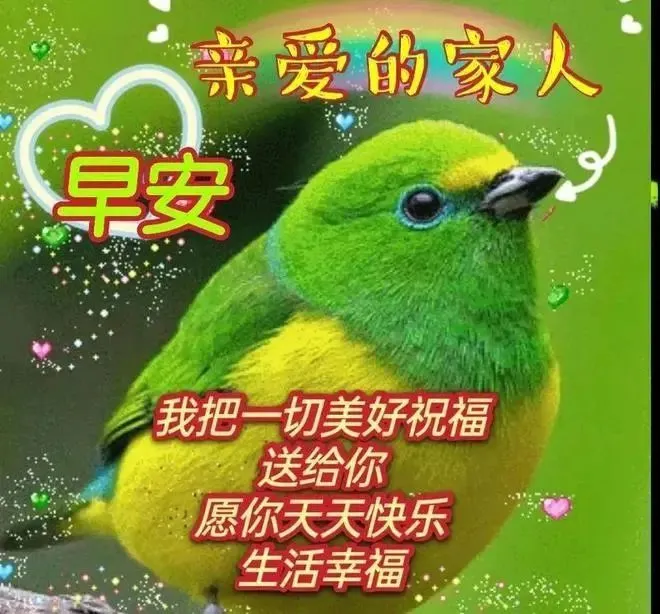 早安,早上好,上午好