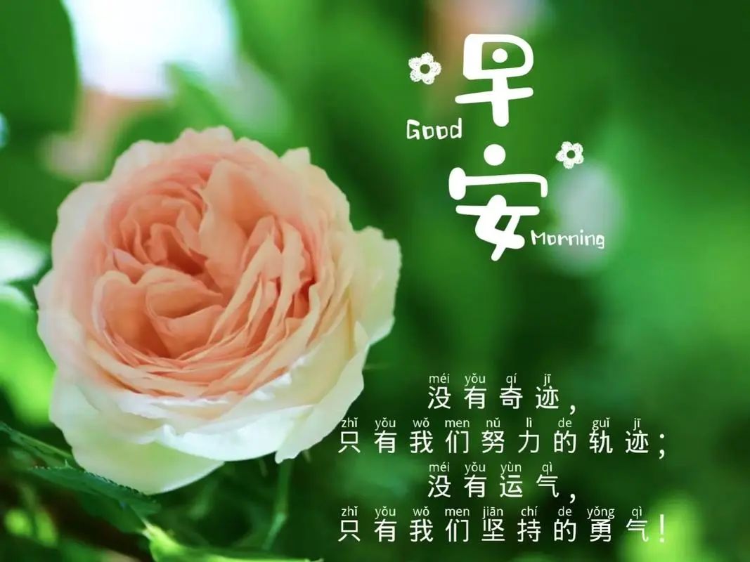 早安问候语每日更新,早安,愿你每天都幸福满满!