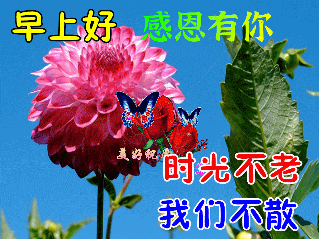早安,早上好,上午好