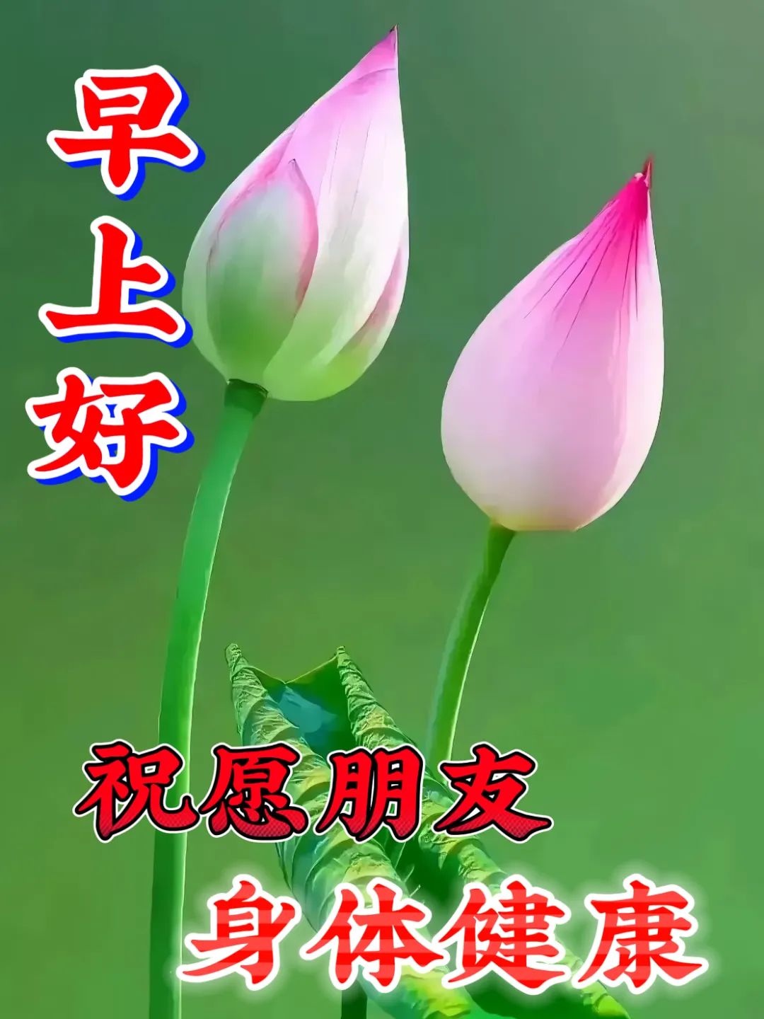 早安,早上好,上午好
