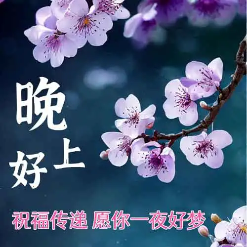 晚上好,晚安